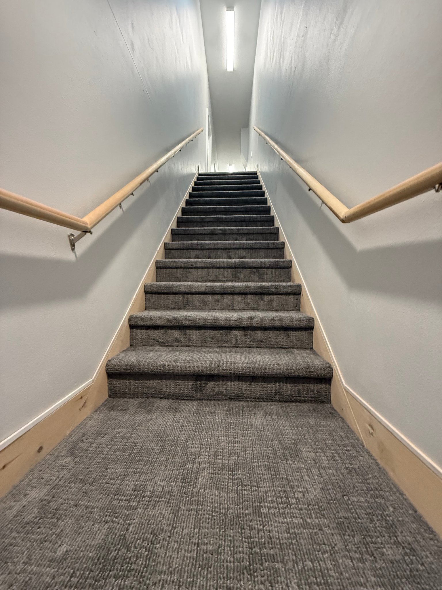 LVP flooring — completed project